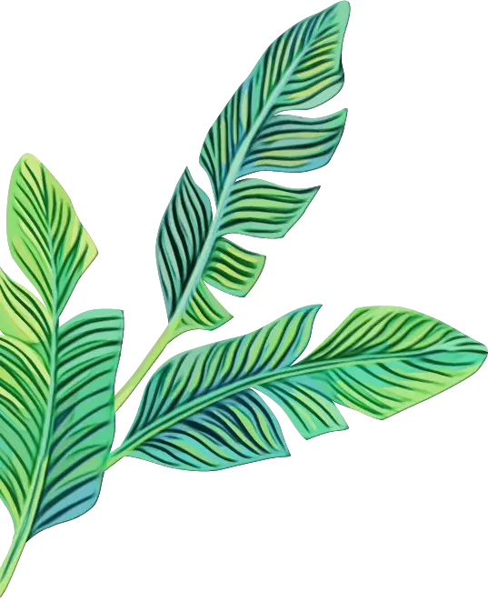 Illustration of Green Leafy Plant