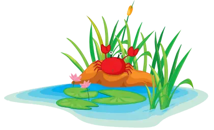 Cartoon Crab by the Pond