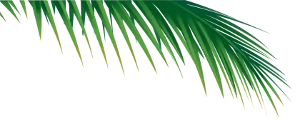 Single Palm Frond Close-Up Illustration