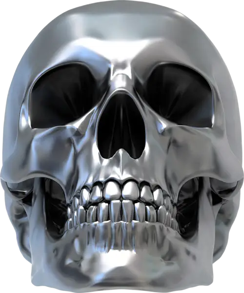 Metallic Human Skull Anatomy