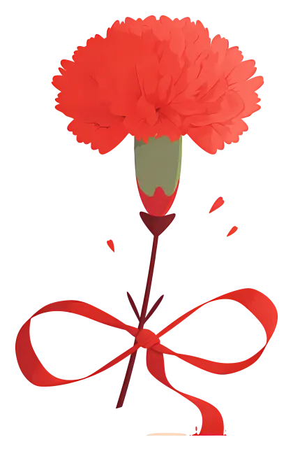 Red Carnation with Ribbon