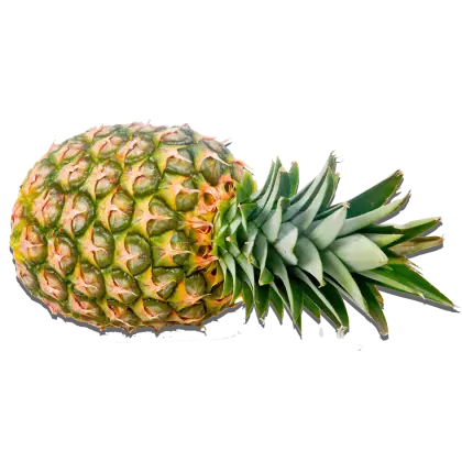 Whole Pineapple with Fresh Green Crown