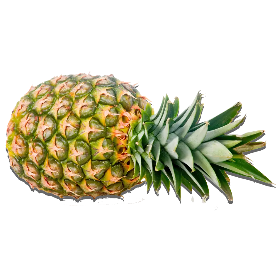 Whole Pineapple with Fresh Green Crown