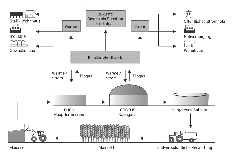 Biogas Plant Diagram for Energy Production