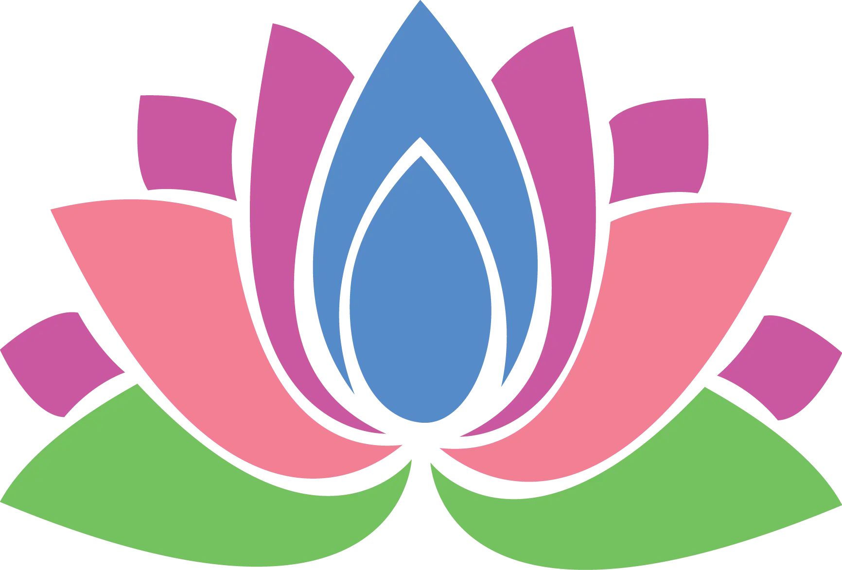 Colorful Lotus Flower Illustration