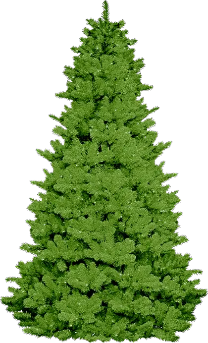 Green Christmas Tree for Festive Celebrations