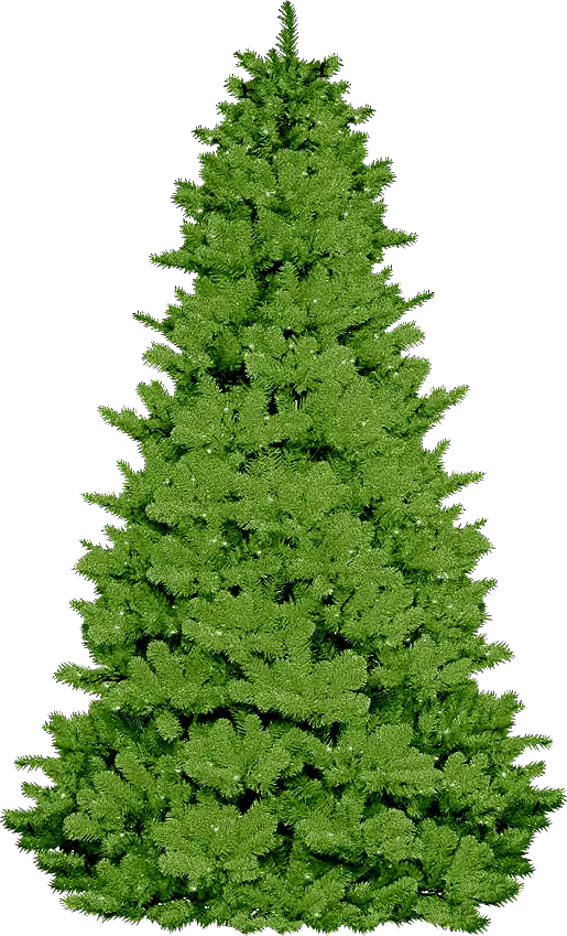Green Christmas Tree for Festive Celebrations