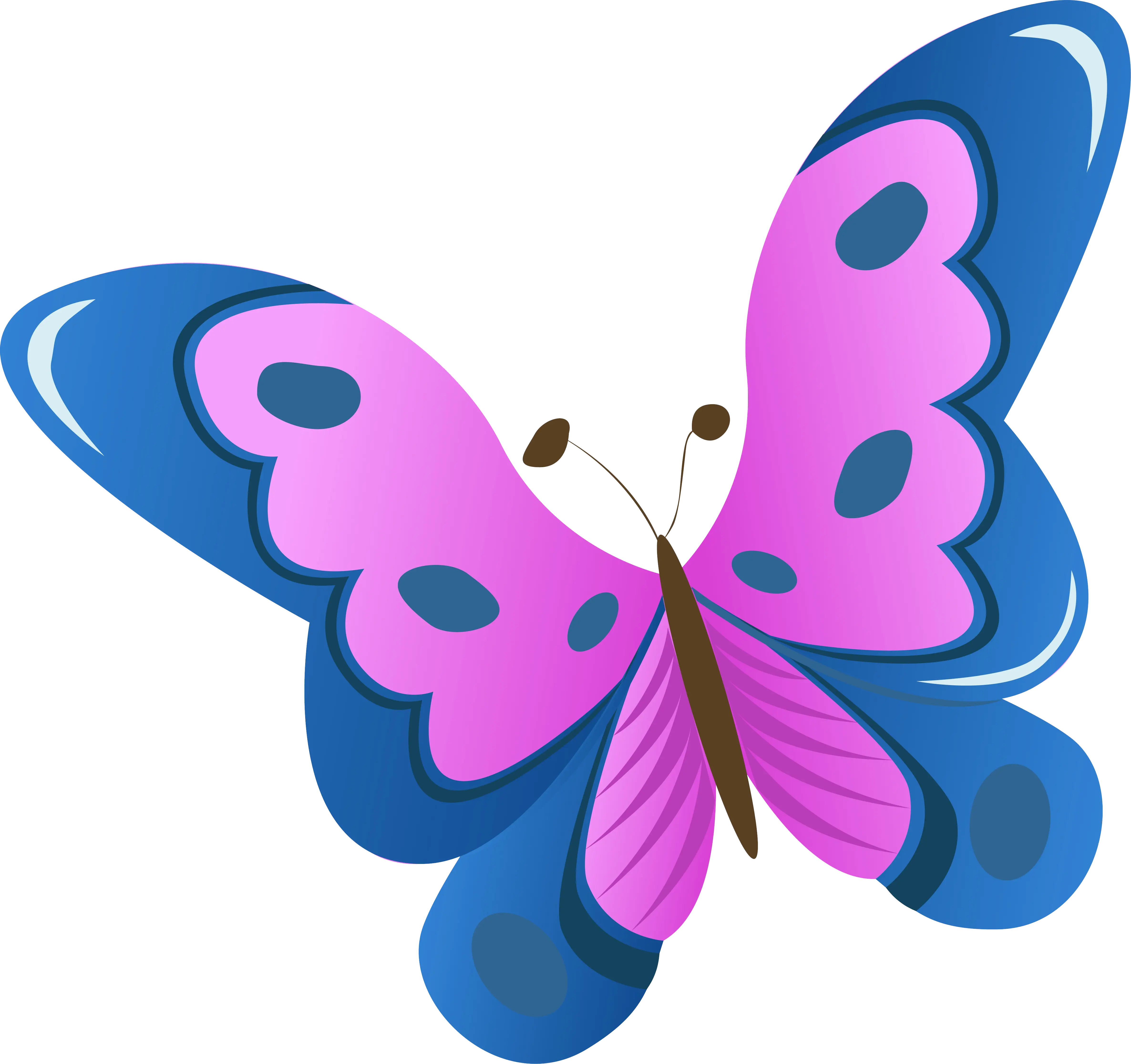 Colorful Pink and Blue Butterfly Illustration