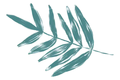 Green Leaf Botanical Illustration