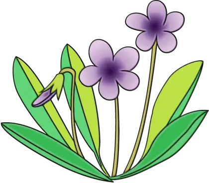 Illustration of Violet Flowers with Leaves