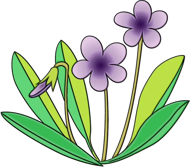 Illustration of Violet Flowers with Leaves