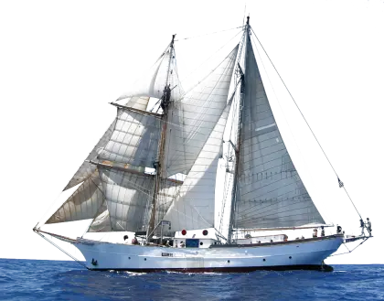 Sailboat on the Ocean