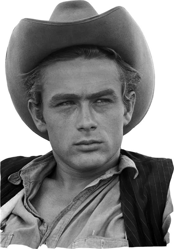 Classic Cowboy Portrait