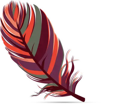 Colorful Feather Illustration