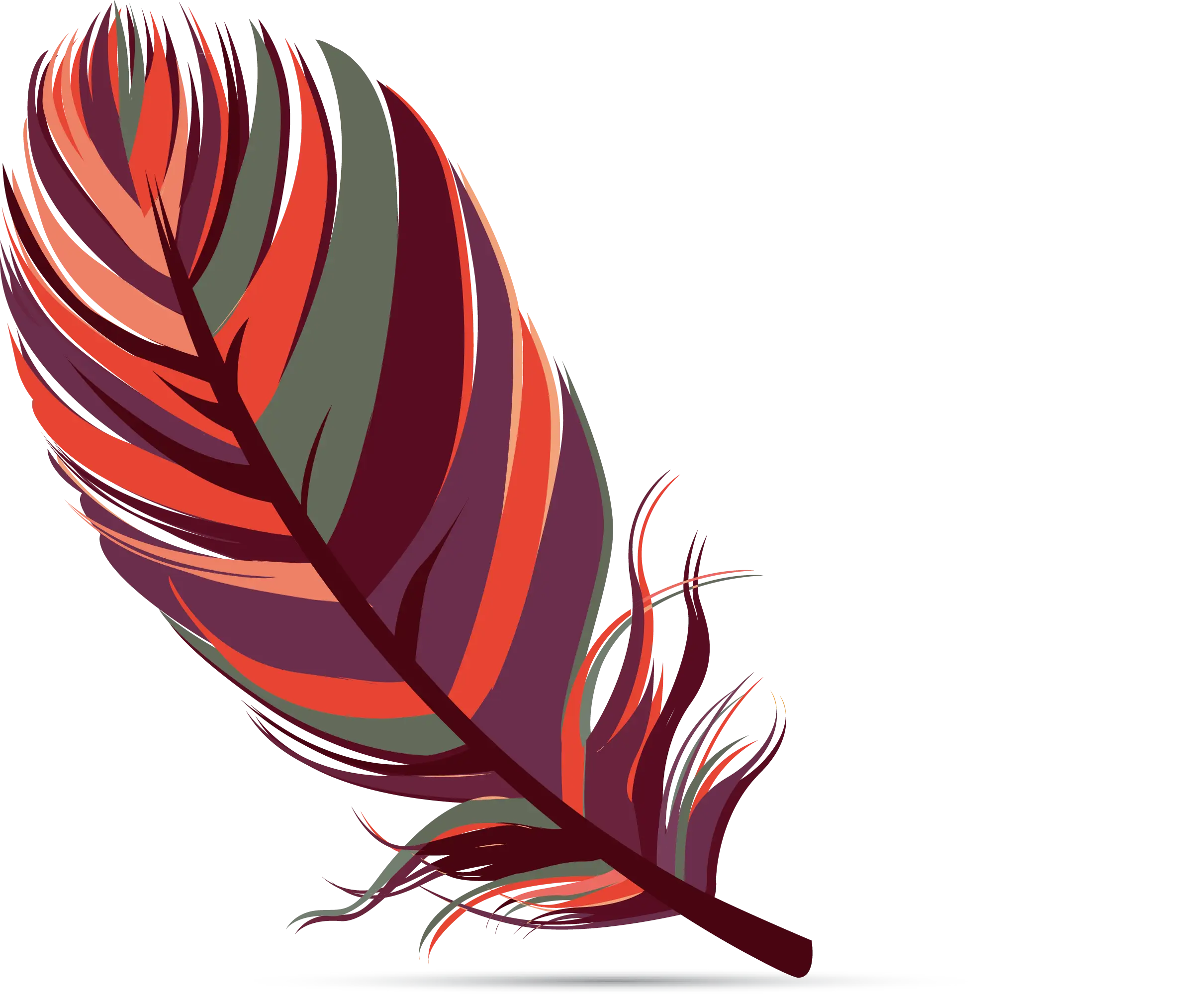 Colorful Feather Illustration