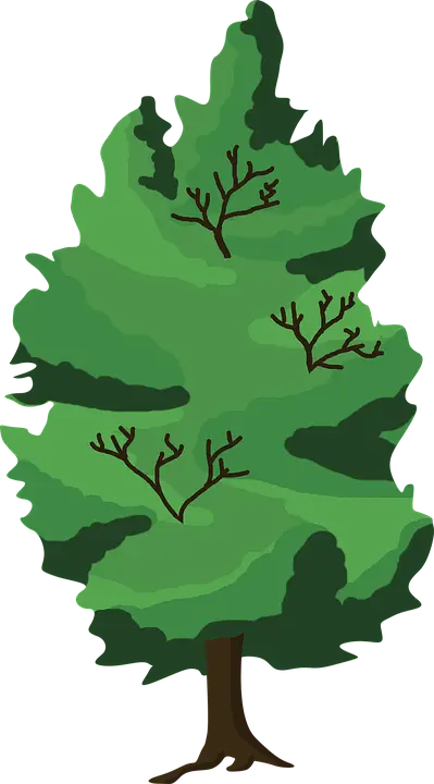 Cartoon Green Tree with Branches