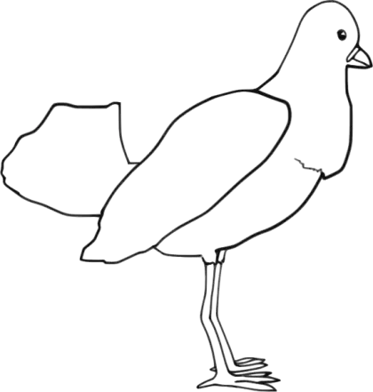 Bird Outline Drawing