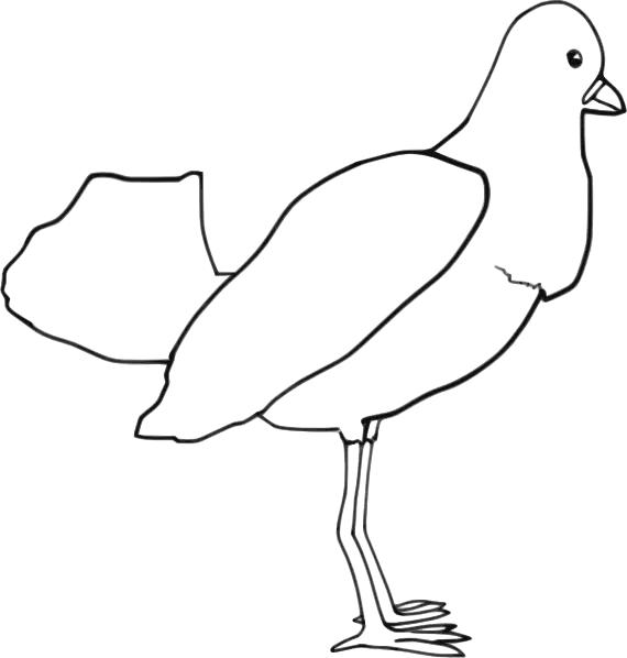 Bird Outline Drawing