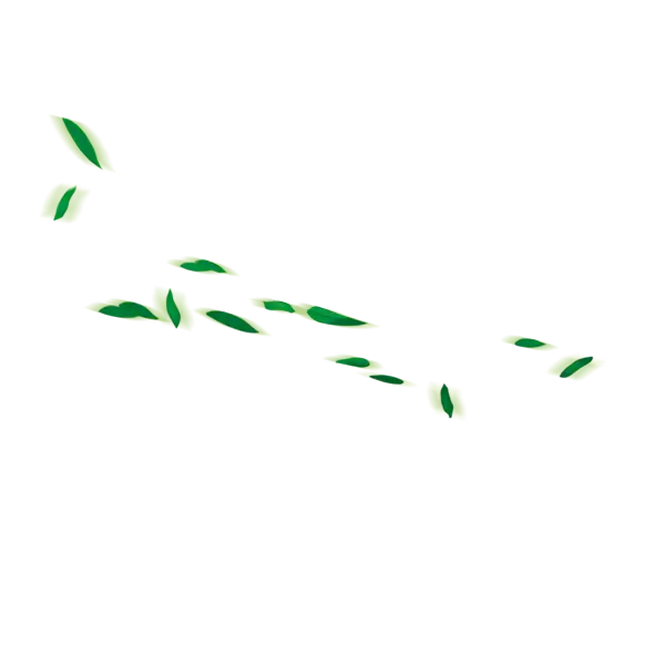 Minimalist Green Leaves Illustration