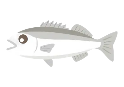 Simple Fish Illustration