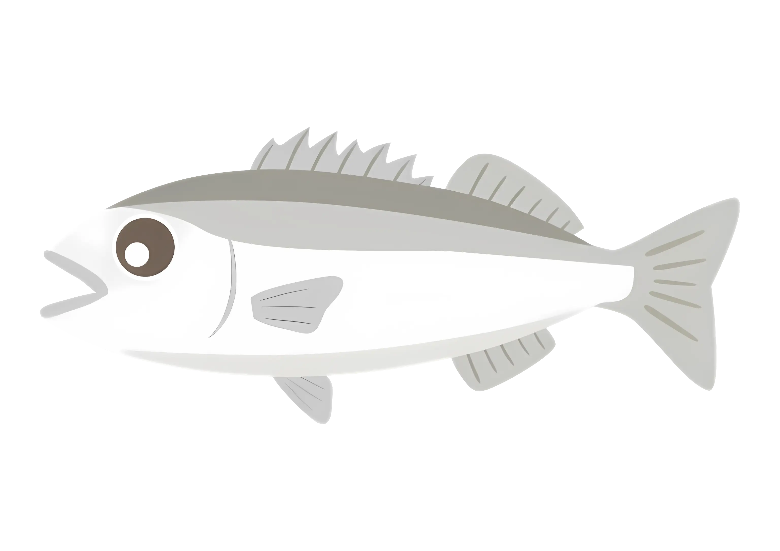 Simple Fish Illustration