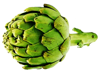 artichoke food plant cynara vegetable
