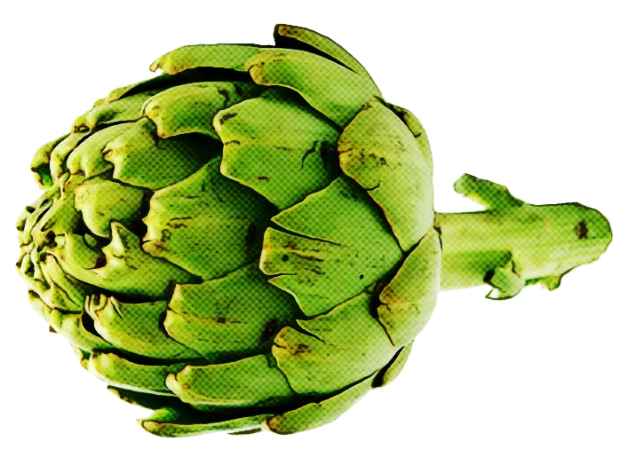 artichoke food plant cynara vegetable