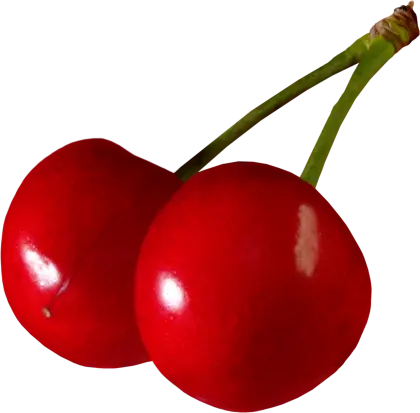 Bright Red Pair of Cherries