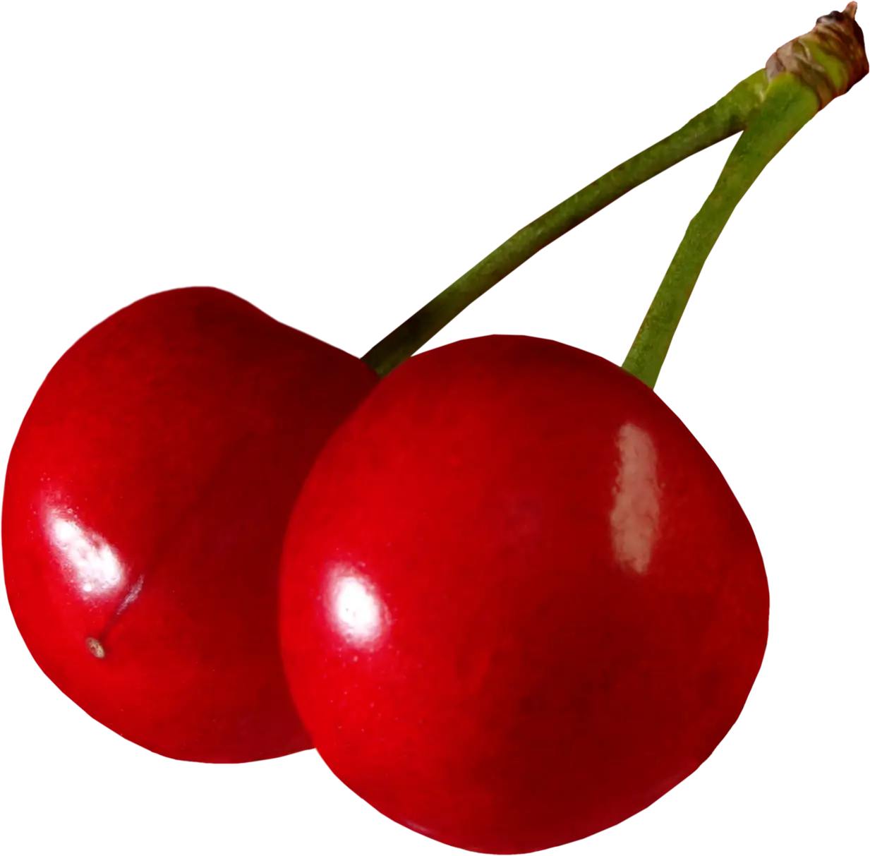 Bright Red Pair of Cherries