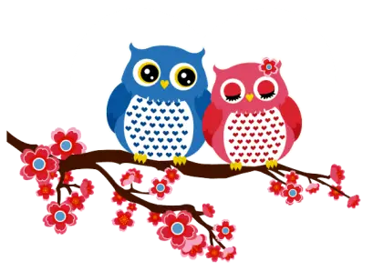 Owls on Branch with Flowers