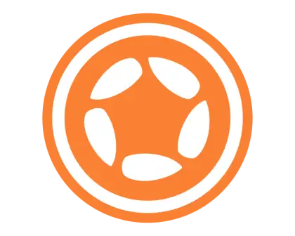 Orange Circle Symbol Design