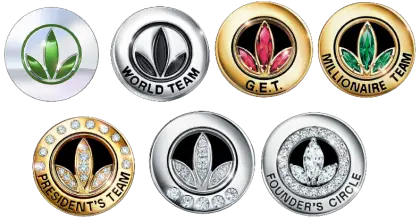 Collection of Award Pins