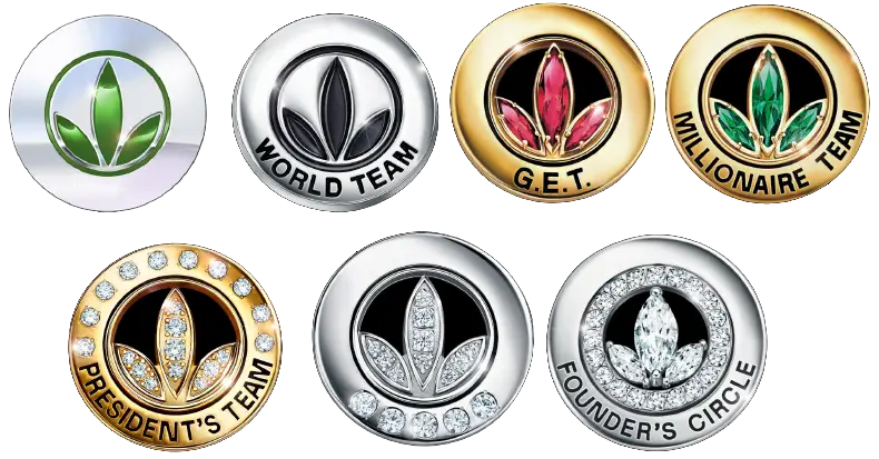 Collection of Award Pins