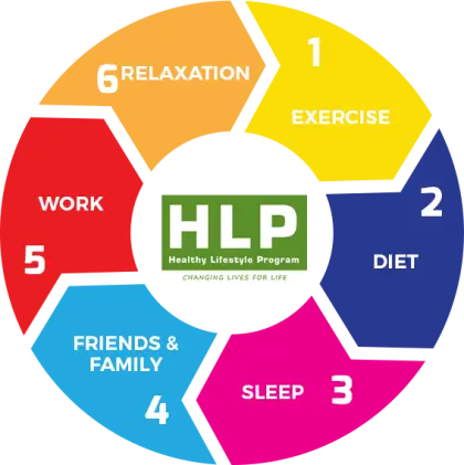 Healthy Lifestyle Program Diagram