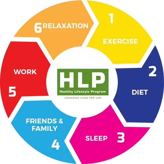 Healthy Lifestyle Program Diagram