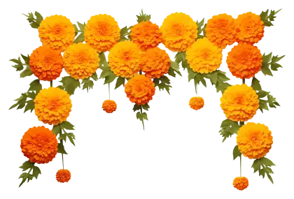Yellow and Orange Marigold Flowers