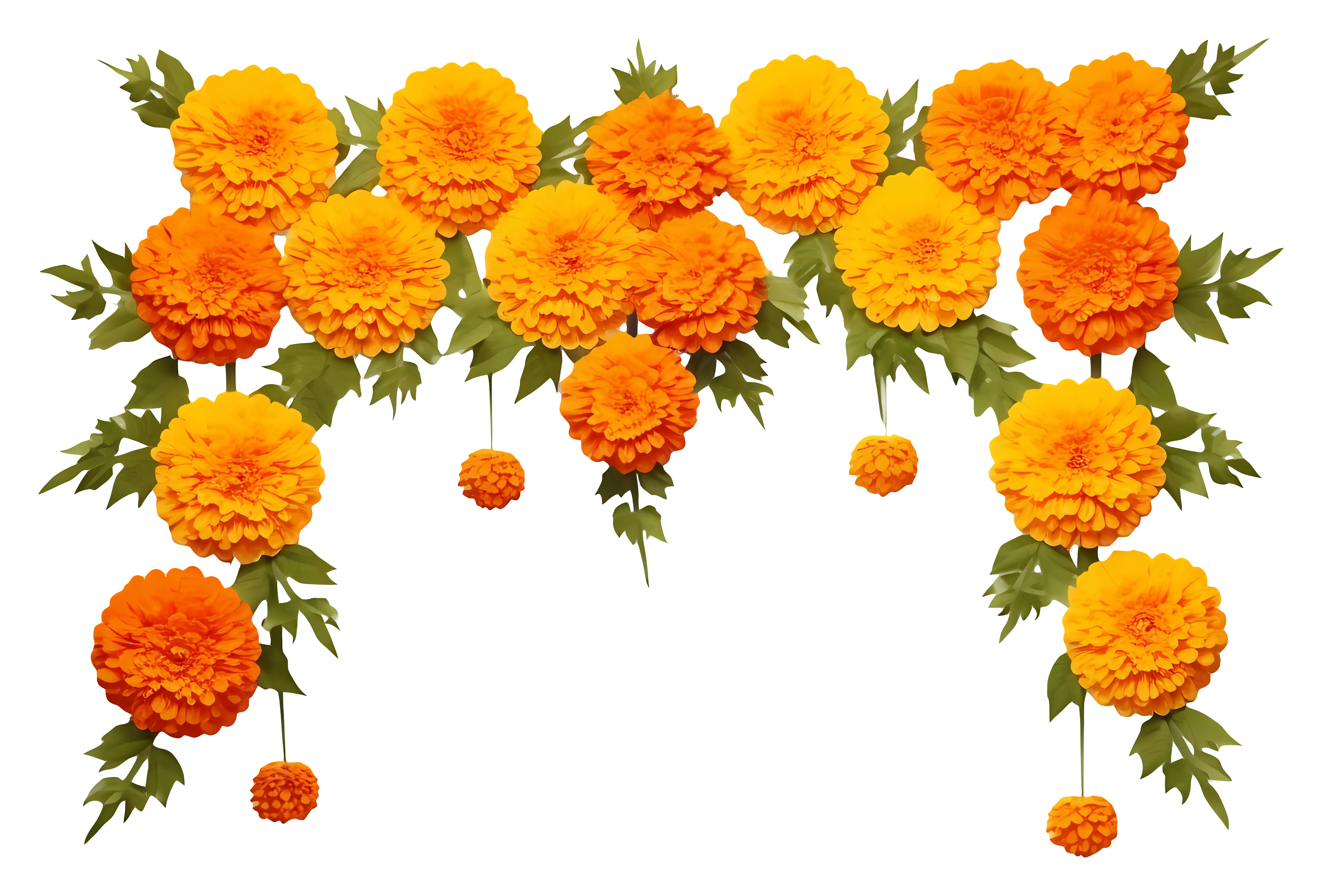 Yellow and Orange Marigold Flowers