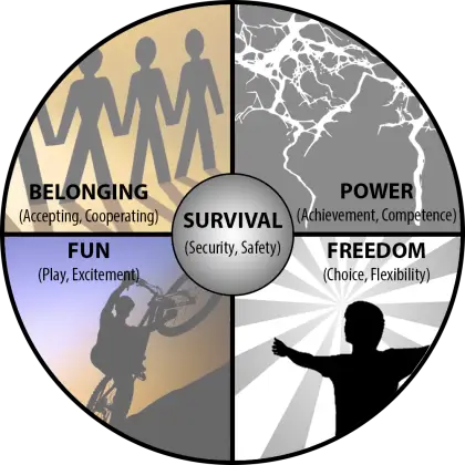 Survival Wheel Diagram
