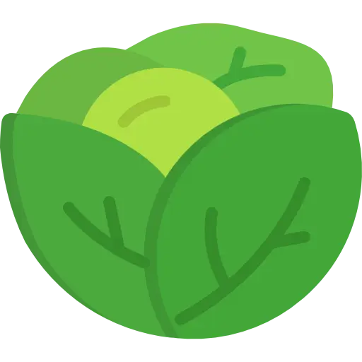 Green Cabbage Cartoon Illustration
