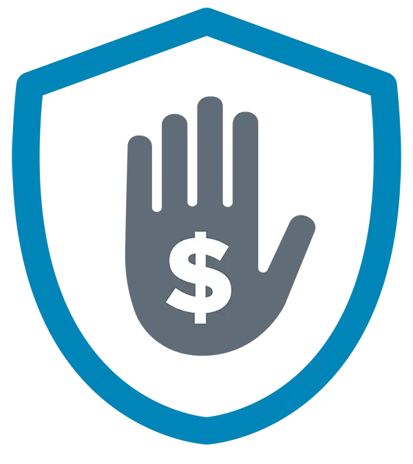 Money Protection Icon