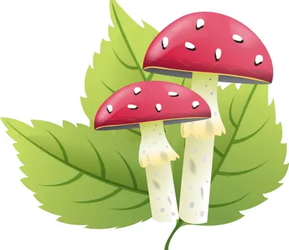 Red Mushrooms with Green Leaves Illustration