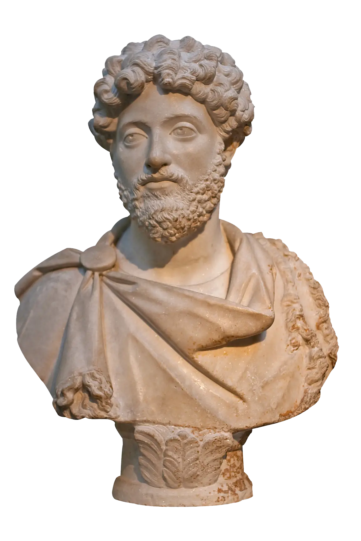 Marble Bust Sculpture in Classical Style