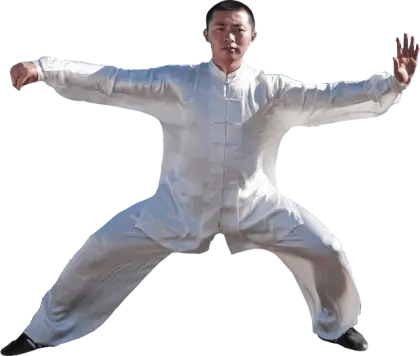 Martial Artist in Kung Fu Pose