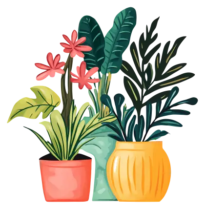 Colorful Plants in Pots