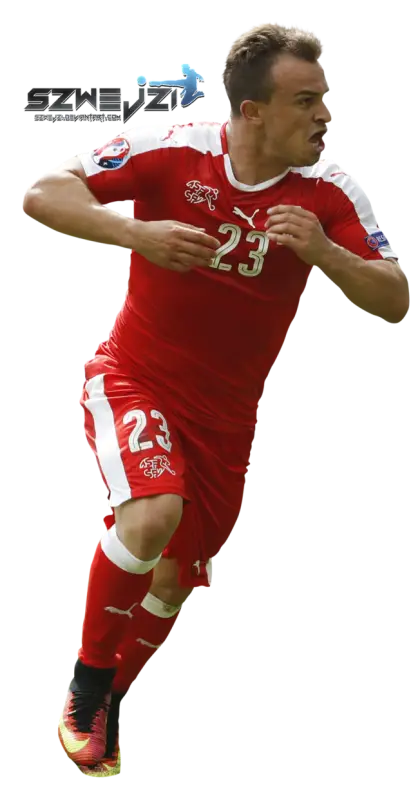 Dynamic Soccer Player in Action