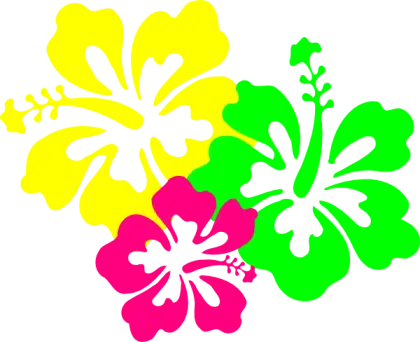 Bright Tropical Hibiscus Flowers