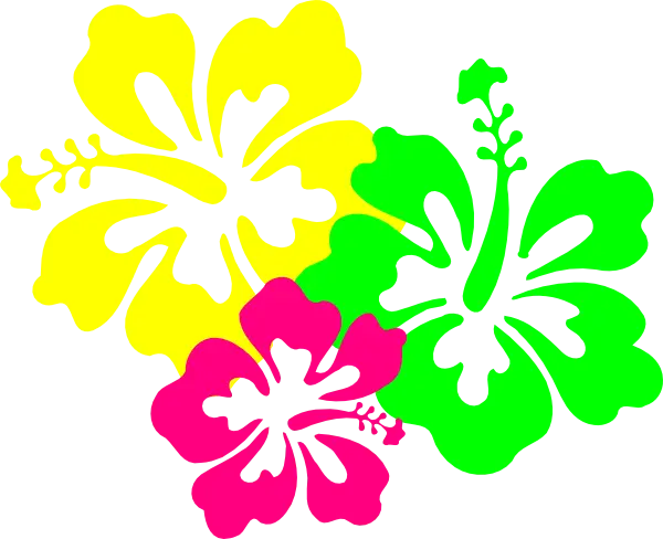 Bright Tropical Hibiscus Flowers