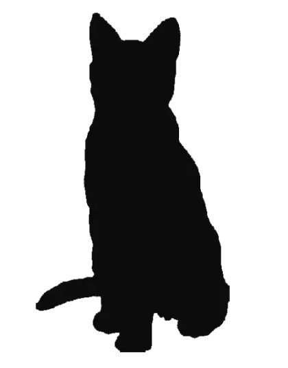 Silhouette of a Sitting Cat