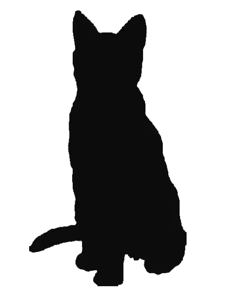 Silhouette of a Sitting Cat