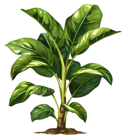 Green Leafy Plant Illustration